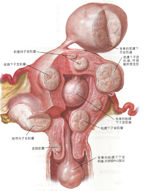 第251页